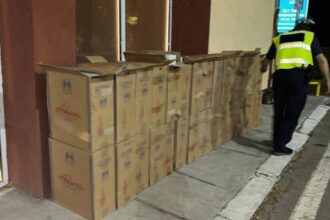 tigari in valoare de peste 1 milion de lei descoperite de politistii de frontiera constanteni 68b98658679c2