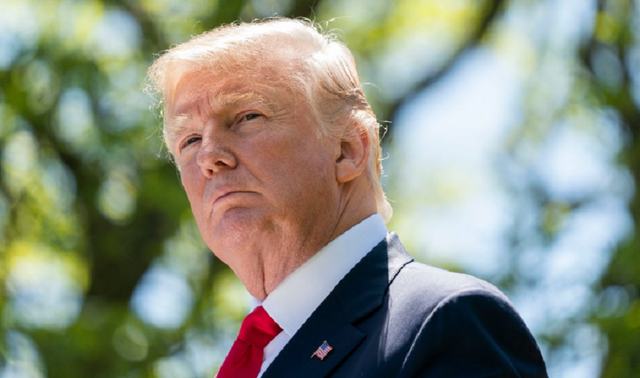 tokenurile familiei trump au scazut cu circa 12 in prima lor zi de tranzactionare 68b69937e160d