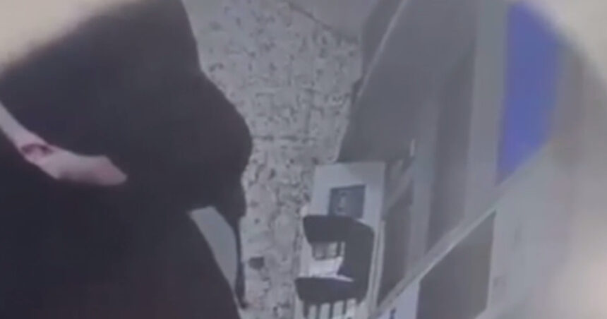 trei barbati si o femeie trimisi in judecata dupa ce au torturat un barbat pentru a i afla pin ul cardului victima a murit la spital 68c4851ccf4b9