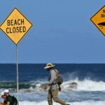 un surfer a fost ucis de un rechin in australia este primul astfel de atac mortal in sydney din 2022 incoace 68bc173848795