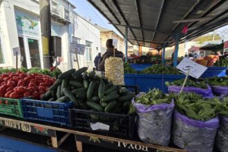 val de controale la comercianti anunta seful anaf se verifica adaosul la alimentele de baza 68c990109dc88