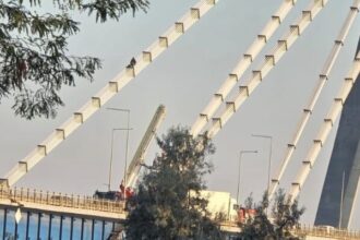 vezi ce spune ipj constanta despre barbatul care s a urcat pe podul de la agigea 68bfb3ad5bc33