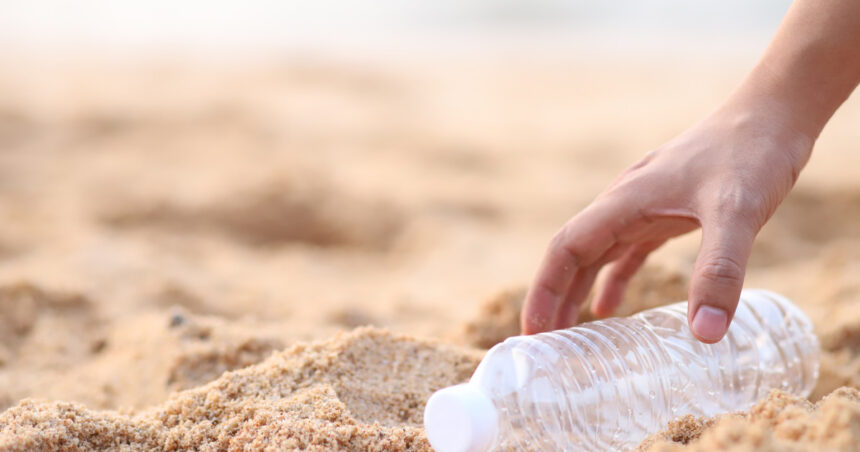 video afacere pe plaja la cules de ambalaje reciclabile ce spun turistii despre cei care aduna sticlele de plastic 68beb339df427