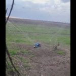 video cum ajuta cultivatorii de lalele din olanda apararea ucrainenilor in fata dronelor sunt foarte rezistente 68ce2ffda5a04