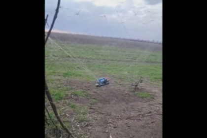 video cum ajuta cultivatorii de lalele din olanda apararea ucrainenilor in fata dronelor sunt foarte rezistente 68ce2ffda5a04