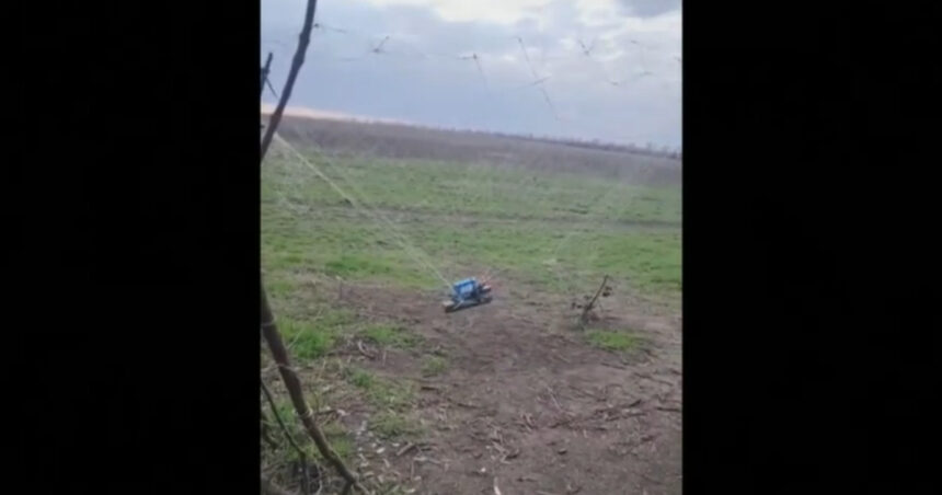 video cum ajuta cultivatorii de lalele din olanda apararea ucrainenilor in fata dronelor sunt foarte rezistente 68ce2ffda5a04