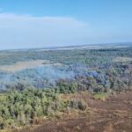 video incendiu violent in delta dunarii la sireasa pompierii lupta pentru a doua zi cu flacarile ce au cuprins padurea 68c2c3c708b08