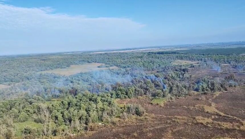 video incendiu violent in delta dunarii la sireasa pompierii lupta pentru a doua zi cu flacarile ce au cuprins padurea 68c2c3c708b08