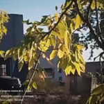 video momentul in care o masina care transporta mai multi operatori de drone rusi sare in aer in melitopol 68d93a7f79cfc