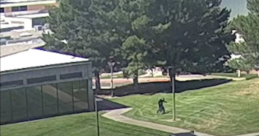 video noi imagini cu atacatorul lui charlie kirk publicate de politie anchetatorii au reconstituit miscarile presupusului asasin 68c3bcbd1a6c6