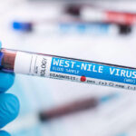 video restrictii la donarea de sange in judetele cu cazuri confirmate de west nile ce trebuie sa stie donatorii 68bbf90cb687c