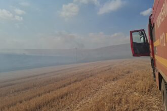 video tulcea un elicopter black hawk intervine la un incendiu aproape de agighiol 68c183dd8a9ec