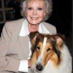 a murit june lockhart celebra pentru rolurile din lassie si lost in space actrita avea 100 de ani 6902f2f729bfb