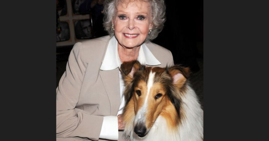 S-a stins din viață June Lockhart, legenda din „Lassie” și „Lost in Space”, la venerabila vârstă de 100 de ani 1 a murit june lockhart celebra pentru rolurile din lassie si lost in space actrita avea 100 de ani 6902f2f729bfb