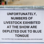 Atenție! Focar de boala limbii albastre în Gorj: Virusul bovinelor se răspândește pe continent, avertizează specialiștii veterinari. 3 alerta epidemiologica in gorj focar de boala limbii albastre la bovine virusul se extinde in europa anunta expertii veterinari 68dd516d88f57