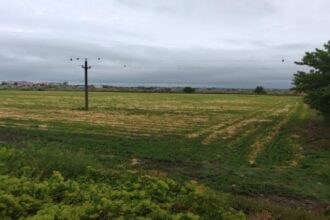 anaf scoate la licitatie un teren agricol de 45 000 mp in navodari 6903a72339d35