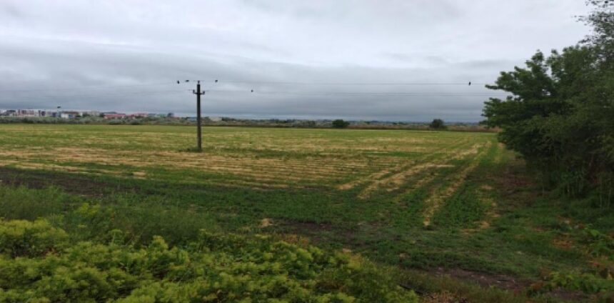 ANAF pune în vânzare un teren agricol de 45.000 mp în Năvodari 1 anaf scoate la licitatie un teren agricol de 45 000 mp in navodari 6903a72339d35