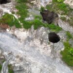 Schimbare radicală la vârful Societății Naționale a Sării, după inundațiile devastatoare din Salina Praid! Descoperă noua echipă de conducere a SALROM! 3 conducerea societatii nationale a sarii a fost demisa dupa inundarea salinei praid iata cine a preluat controlul salrom 68f8958973cb5