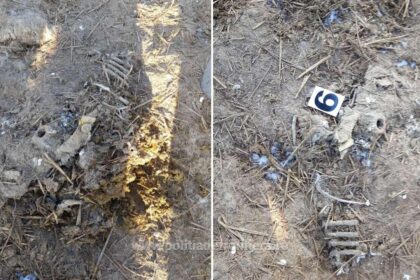 dosarul oilor ingropate la smardan termen nou la curtea de apel constanta iata cat s ar putea lua o decizie definitiva 68fbcc64769c9