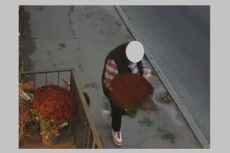 foto furt de flori astazi aproape de tomis mall acuza reprezentantii unei bijuterii din oras fiecare comerciant depune un efort pentru a decora de sezon si a bucura trecatorii 68fbc1918643a