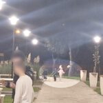 Furt și Distrugere în Parcul Poarta 6 din Constanța: Flori Frumoase, Răpuse și Dispărute Imediat După Împădurire 2 foto vandalism in parcul poarta 6 din constanta plante decorative rupte si furate la scurt timp dupa plantare 68ef9dc03f999