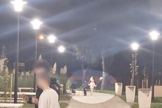 foto vandalism in parcul poarta 6 din constanta plante decorative rupte si furate la scurt timp dupa plantare 68ef9dc03f999