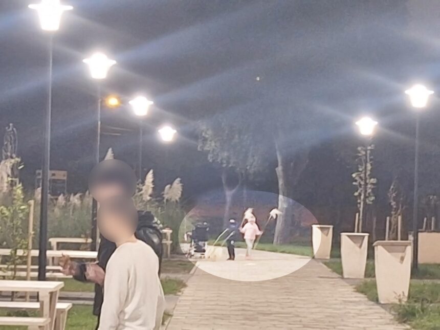 Furt și Distrugere în Parcul Poarta 6 din Constanța: Flori Frumoase, Răpuse și Dispărute Imediat După Împădurire 1 foto vandalism in parcul poarta 6 din constanta plante decorative rupte si furate la scurt timp dupa plantare 68ef9dc03f999