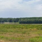 Oportunitate unică pentru investitori: Teren portuar de închiriat în Hârșova – detalii despre licitație și organizator! 2 investitorii interesati pot inchiria un teren portuar in harsova afla cand are loc licitatia si cine este organizatorul 68dd6f2d596bb