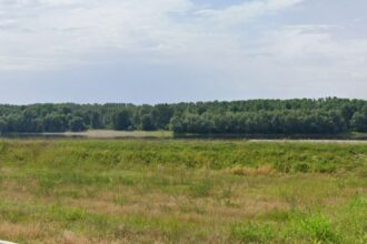 investitorii interesati pot inchiria un teren portuar in harsova afla cand are loc licitatia si cine este organizatorul 68dd6f2d596bb