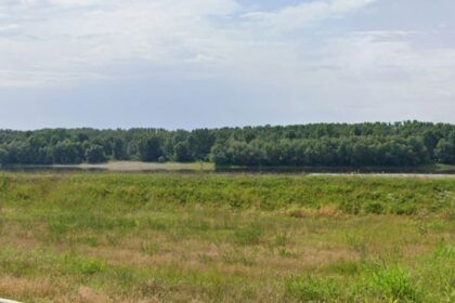 investitorii interesati pot inchiria un teren portuar in harsova afla cand are loc licitatia si cine este organizatorul 68dd6f2d596bb