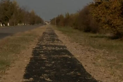 pista pentru biciclete turnata peste iarba lucrarile de mantuiala au starnit nemultumirea localnicilor asta intr un an se duce 68f7d24e59c37