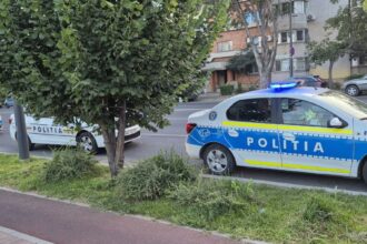 presupus sofer incatusat de politistii din constanta dupa ce a condus fara permis acuzatii de fals intelectual 68ef6216a0422