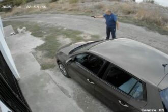 scene revoltatoare in constanta un barbat a tras spre un caine cu un pistol airsoft 68dd5e6726e3e