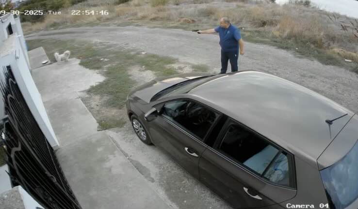 Incident șocant în Constanța: un bărbat a deschis focul asupra unui câine cu un pistol airsoft 1 scene revoltatoare in constanta un barbat a tras spre un caine cu un pistol airsoft 68dd5e6726e3e