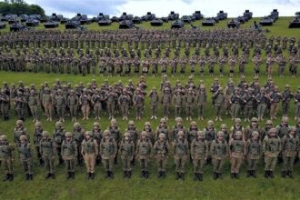 sedinta importanta la guvern 6 000 de euro pentru patru luni de pregatire miliara vezi aici ce proiecte de legi analizeaza executivul 68de2606b0b98