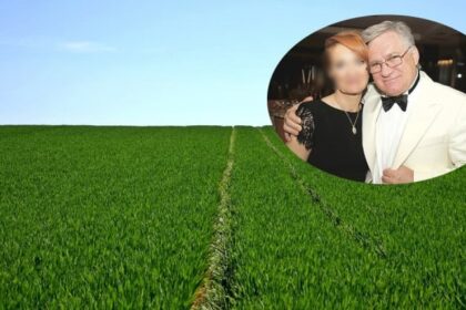 tranzactie de milioane de euro compania elcomex i e a sa din patrimoniul unui milionar de top forbes poate fi preluata de electro alfa servicii inginerie srl spune consiliul concurentei 68fa380099997