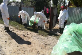 un focar de pesta porcina africana a fost confirmat in localitatea nicolae balcescu 68f0e53cc7317