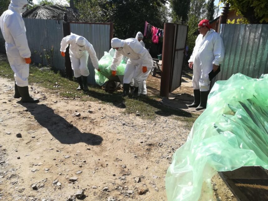Alertă sanitară: Pesta porcină africană a fost detectată în comuna Nicolae Bălcescu! 1 un focar de pesta porcina africana a fost confirmat in localitatea nicolae balcescu 68f0e53cc7317