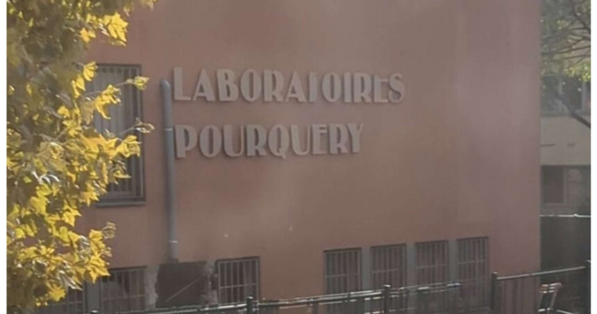 Lyon în haos: o bandă înarmată a detonat explozibili pentru a jefui o rafinărie de metale prețioase, șase suspecți reținuți 1 video atac spectaculos la lyon indivizi inarmati au folosit explozibili pentru a jefui o rafinarie de metale pretioase 6 suspecti arestati 6904633636f8d