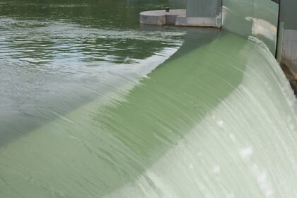 video bogdan ivan avem blocaje la proiectele de hidrocentrale din cauza gandacilor si pestilor sunt aberatii voi merge in csat 68de2766ec62c