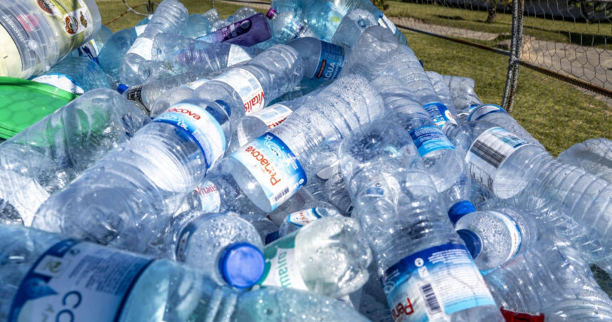 video microplasticele ajung in creier arata un studiu acumulam pana la 5 grame din particulele care provoaca boli grave 68f7a56398152