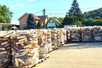 volumul de lemne de foc pregatit de romsilva pentru populatie in 2025 cat costa metrul cub 68dd1c85857d8