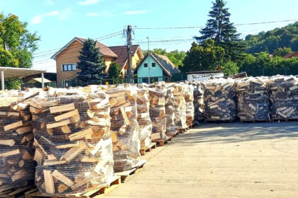 volumul de lemne de foc pregatit de romsilva pentru populatie in 2025 cat costa metrul cub 68dd1c85857d8