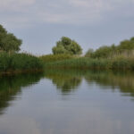 accident in delta dunarii doua ambarcatiuni de agrement s au ciocnit un tanar a fost ranit 692442de4a2f1