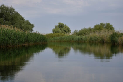 accident in delta dunarii doua ambarcatiuni de agrement s au ciocnit un tanar a fost ranit 692442de4a2f1