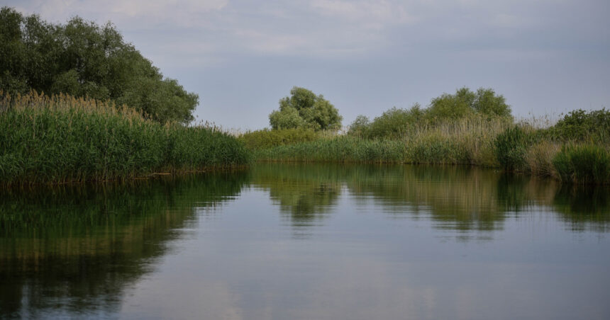 accident in delta dunarii doua ambarcatiuni de agrement s au ciocnit un tanar a fost ranit 692442de4a2f1