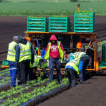 acord provizoriu in ue pentru sectorul agricol fermierii ar putea economisi pana la 16 miliarde de euro pe an 6913417ca9a5b