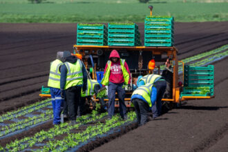acord provizoriu in ue pentru sectorul agricol fermierii ar putea economisi pana la 16 miliarde de euro pe an 6913417ca9a5b