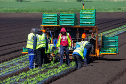 acord provizoriu in ue pentru sectorul agricol fermierii ar putea economisi pana la 16 miliarde de euro pe an 6913417ca9a5b