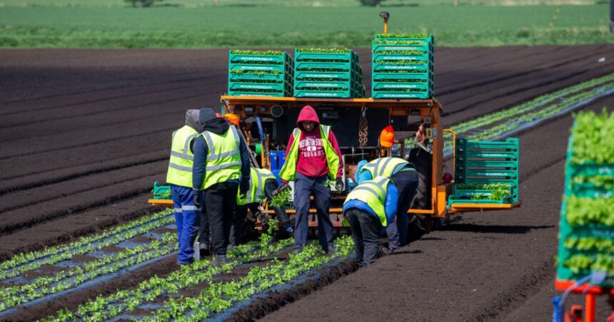 acord provizoriu in ue pentru sectorul agricol fermierii ar putea economisi pana la 16 miliarde de euro pe an 6913417ca9a5b